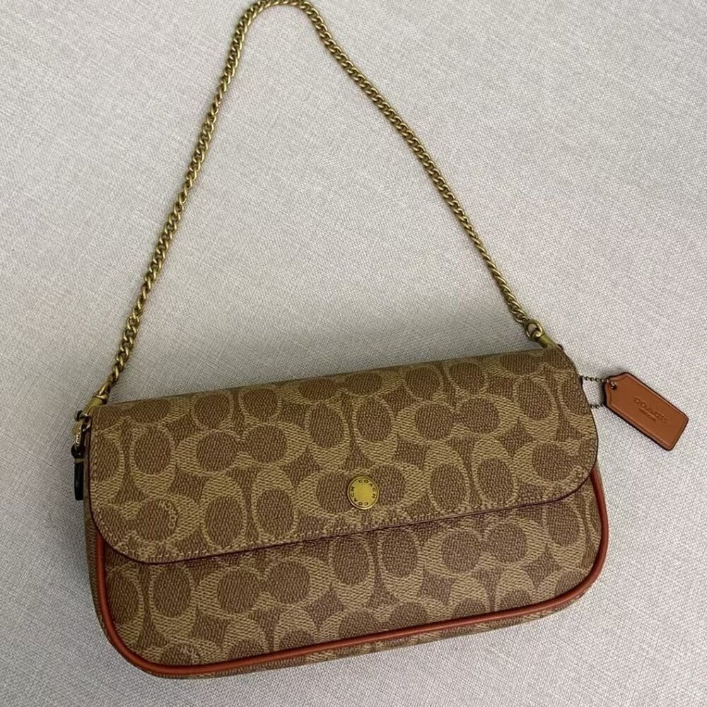 The Coach Brook Chain bag